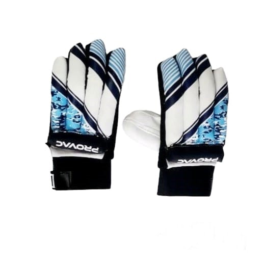Cricket Batting Gloves Classic