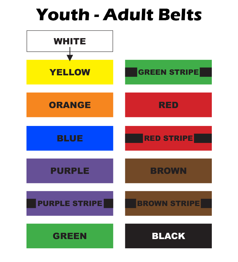 What is the order sales of belts in karate