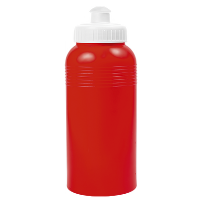 Water Bottle - 500ml