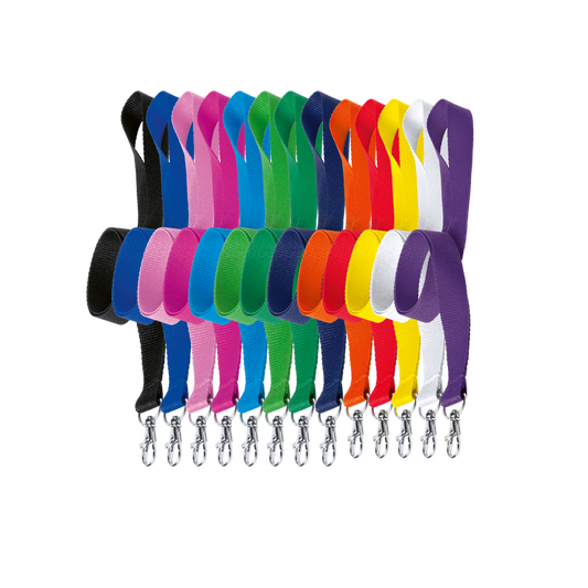 Simple Lanyard