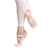 Ballet Shoe - Stretch Canvas (DEC)