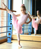 Ballet Tight - Open Feet - Ballet Pink